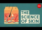 The science of skin - Emma Bryce | Recurso educativo 774347