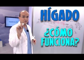 El funcionamiento del hígado | Recurso educativo 759824