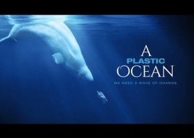 A Plastic Ocean | Recurso educativo 788283