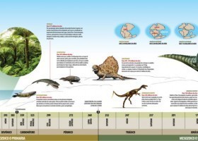 Liña do tempo da historia da Terra | Recurso educativo 7902694